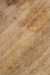chopping board chopping board