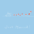 Just married car