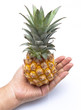 Pineapple on hand