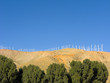 Green Electricity, Coachella Valey, CA