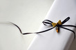 Luxurious White Gift Box