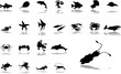 Big set icons - 34. Fish Big set icons - 34. Fish