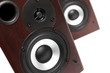 Two Acoustic dynamics