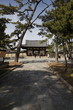 法隆寺への道