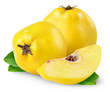 Quince fruits isolated on white