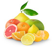 Citrus fruits isolated on white