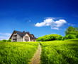 Summer new farmhouse
