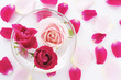 水に浮かぶ薔薇