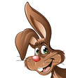 easter bunny close up isolated