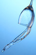Foto: In a glass the fresh stream of water flows In a glass the fresh stream of water flows