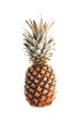 Pineapple Pineapple