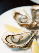 Fresh oysters on plate with lemon Fresh oysters on plate with lemon