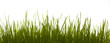 Gras frontal