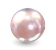Single Pearl. Vector