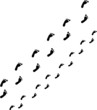 Fußspuren