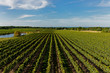 Winery