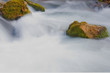 torrente