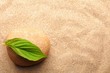 zen stone with leaf