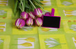 Foto: Frühlingsgruß 5978 Frühlingsgruß 5978