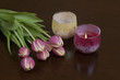 Foto: tulip with candle 5992 tulip with candle 5992