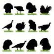 Turkey silhouettes Turkey silhouettes