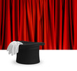 Magician top hat and gloves