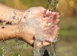 Woman's hands with water splash