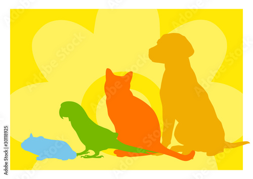Illustration: Pet Shop Abstract Pet Shop Abstract