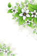 Vector grunge floral background