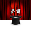 Magic show trick
