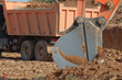 Excavadora y camion