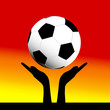 catch the ball vector illustration
