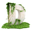 Ivy letter D isolated on white background. Ivy letter D isolated on white background.