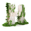 Ivy letter H isolated on white background. Ivy letter H isolated on white background.