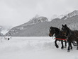 Photo: Sleigh ride, Lake Louise Sleigh ride, Lake Louise