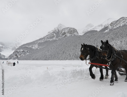Photo: Sleigh ride, Lake Louise Sleigh ride, Lake Louise