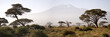 Kilimanjaro Mountain