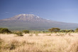 Kilimanjaro Mountain Kilimanjaro Mountain