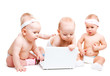 Babies working at laptop Babies working at laptop