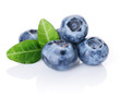 Blueberries