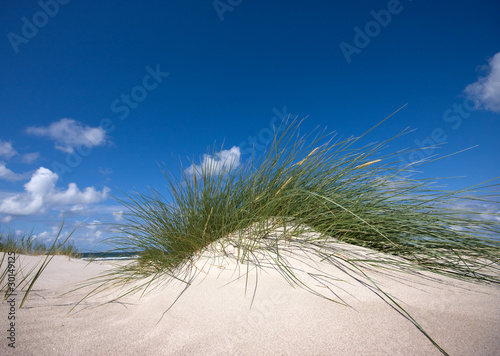 Foto: Dünen auf Amrum Dünen auf Amrum