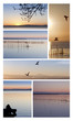 Albufera - Collage