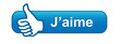 Bouton Web 