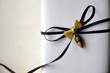 Gift Box with Brown Ribbon