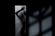 Photo: Night shadows Night shadows