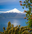 Volcano Osorno and Lago Llanquihue, Puerto Octay, Chile