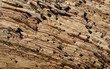 Geological rock layers