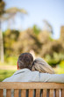 Foto: Elderly couple sitting on the bench with their back to the camer Elderly couple sitting on the bench with their back to the camer