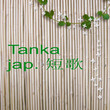 hintergrund bambus, begriff japanische lyrik, tanka hintergrund bambus, begriff japanische lyrik, tanka