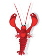 Lobster Lobster